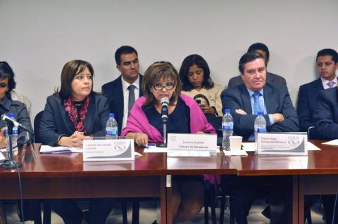 Propone Lorena Cuéllar que el gobierno federal cree la Subsecretaría de Economía Social imagen 2
