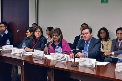 Propone Lorena Cuéllar que el gobierno federal cree la Subsecretaría de Economía Social imagen 3