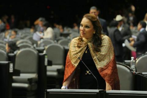 Seguimos analizando nuestra participación política en la renovación del CDE del PAN: Leonor Romero Sevilla