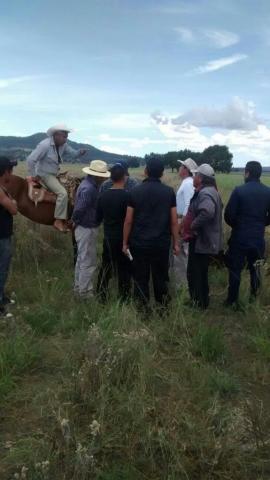Ola de abigeato en Xaloztoc, denuncian pobladores; exigen a autoridades intervenir