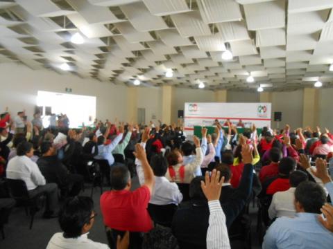 Aprueban convocatoria para elegir nuevo secretario general de la CNOP imagen 2