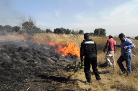 Cerca de 15 hectáreas fueron consumidas por el fuego en Ixtacuixtla imagen 1