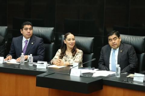 Insinúan complicidad entre padrotes y diputados