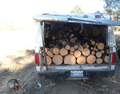 Arrestó SSPE a cuatro talamontes en Zitlaltépec imagen 1