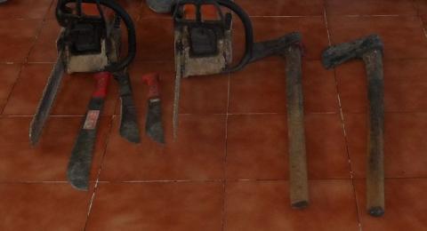 Arrestó SSPE a cuatro talamontes en Zitlaltépec imagen 2