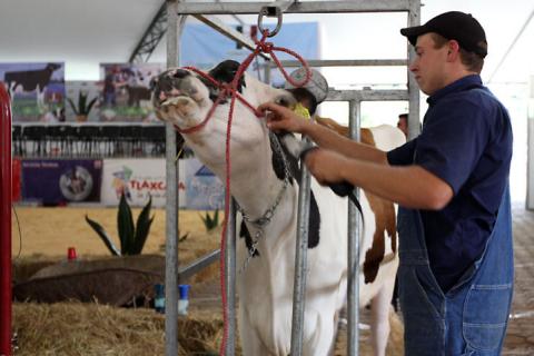 Ofrece Fona Holstein 2014 capacitación a productores lecheros de Tlaxcala imagen 1