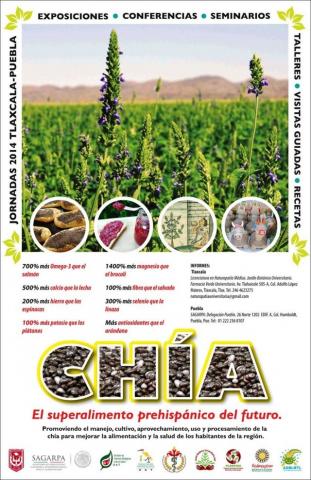 Jornadas de promoción de la Chia en la región Tlaxcala- Puebla imagen 3