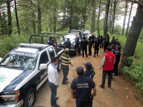 Participa Tetlanohcan en operativos para combatir tala clandestina imagen 1