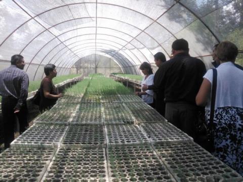 Rehabilitan vivero forestal en Tlaxcala con recursos de la Sedesol imagen 2