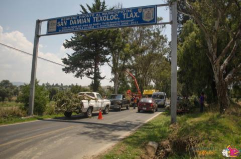 Se realiza derramamiento de árboles en Texoloc imagen 3