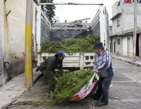 Recibirán panteones de Calpulalpan miles de visitantes por día de muertos imagen 4