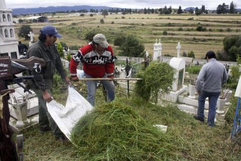 Recibirán panteones de Calpulalpan miles de visitantes por día de muertos imagen 1