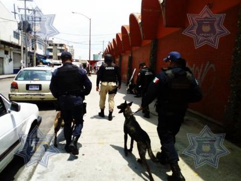 Para inhibir el delito, redobla presencia la Policía de Apizaco imagen 5