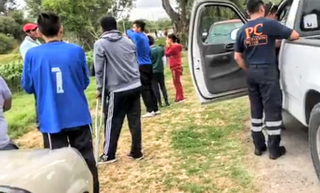 Enjambre de abejas atacan campos de fútbol en Totolac imagen 1