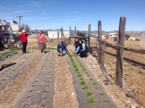 Rebasa expectativas en Calpulalpan implementación de “Huertos Familiares” imagen 3