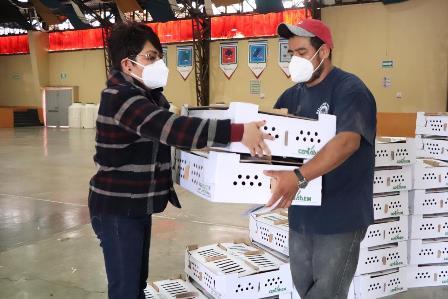 Autoridades de Huamantla entregan de paquetes de aves de traspatio imagen 2