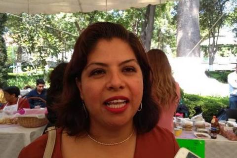 Recuperación de la diputada Gabriela Brito es favorable tras Covid