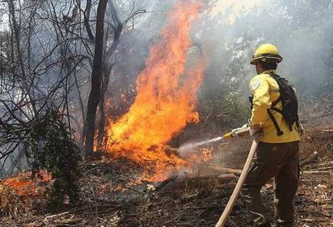 Tlaxcala entre los primeros 10 estados con más incendios forestales