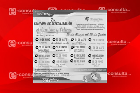 En Chiautempan se realiza segunda campaña de esterilización de perros y gatos