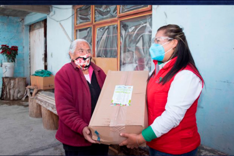 Distribuye DIF y Supérate apoyos alimentarios a familias de Calpulalpan
