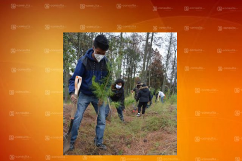 Arranca reforestación del parque nacional Malinche