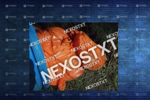 Foto Nexostxt Foto Nexostxt