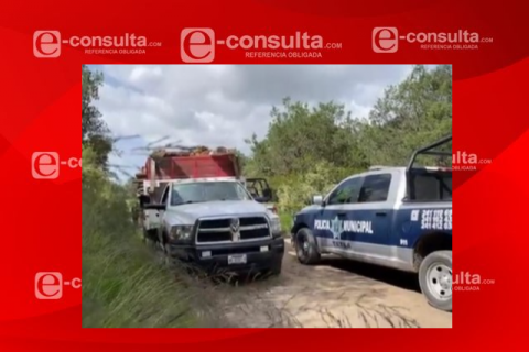 Localizan a un perro devorando una extremidad humana