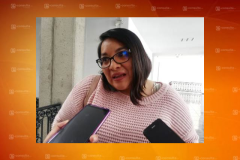 Para las denuncias políticas en razón de género, no hay tregua: Laura Yamili imagen 1