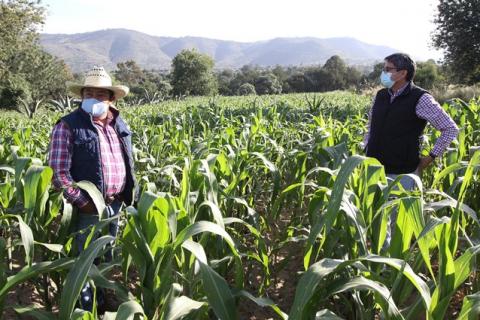 Con más de 18 mdp fortalecen el campo en la zona oriente del estado