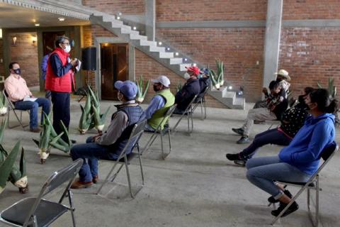 Otorgan más de 13 mil plantas de maguey para reforestar zonas agrícolas