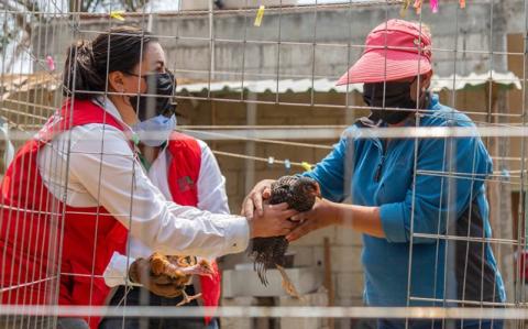 “Supérate” entrega paquetes de aves a más de mil 900 familias