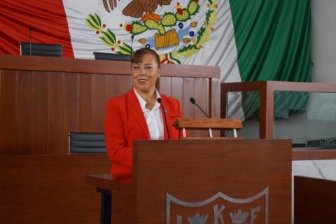 Fiscalización se sujetará a la Ley y no a intereses grupales: Zonia Montiel