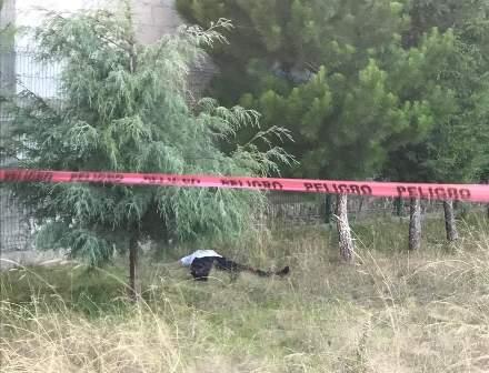 Sale disparado y muere por no llevar cinturón de seguridad imagen 2