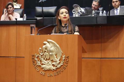 Exhorta ADF al Ejecutivo Federal a supervisar centros de asistencia social para prevenir tragedias imagen 1