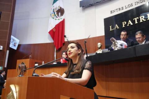 Exhorta ADF al Ejecutivo Federal a supervisar centros de asistencia social para prevenir tragedias imagen 2