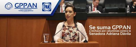 Se suma GPPAN a rechazo por calumnias contra Adriana Dávila imagen 1