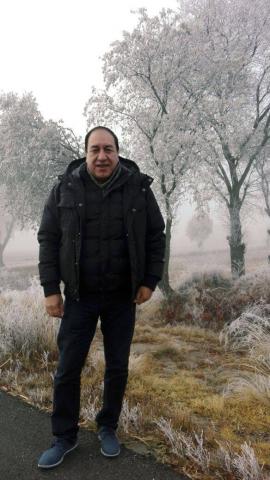 Nieve cubre árboles y matorrales de la zona oriente del estado imagen 2