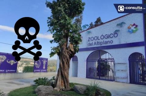 Reprograman apertura del Zoológico del Altiplano