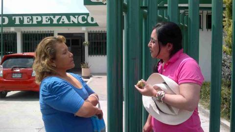 El PRI hace propuestas para ganar el voto ciudadano imagen 1