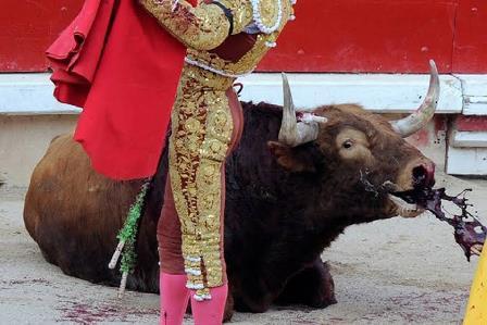 Antitaurinos convocan manifestación pacífica en Apizaco contra la tauromaquia