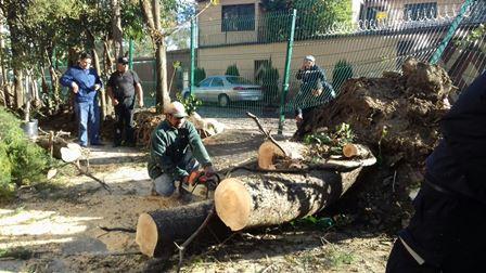 Piden extremar precauciones por el mal tiempo imagen 1
