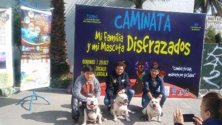 Une a la familia desfile de mascotas en Apizaco imagen 1