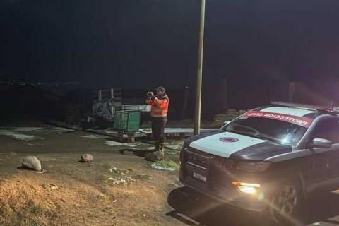 Protección Civil de Huamantla reporta saldo blanco tras fuerte granizada imagen 4