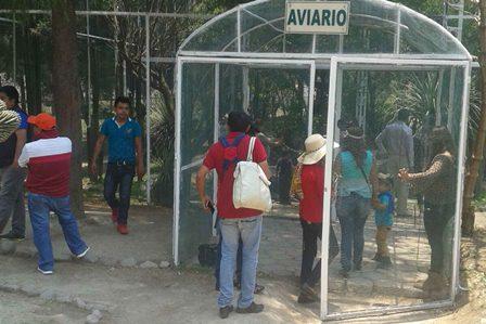 Invitan a visitar el aviario del Zoológico del Altiplano