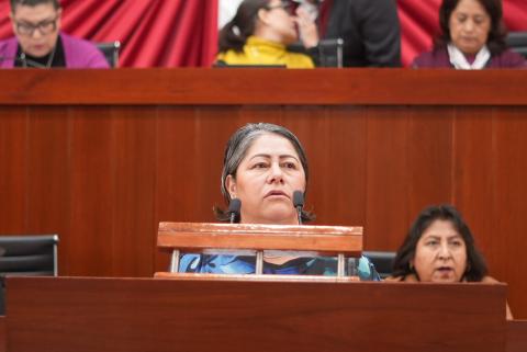Blanca Águila Lima sugiere medidas para garantizar el bienestar de tlaxcaltecas deportados desde EEUU imagen 3