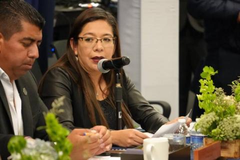 Leticia Martínez Cerón considera importante adecuar programas desde las necesidades de los productores tlaxcaltecas imagen 2