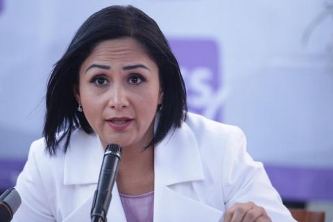 Acusa violencia de género Liliana Becerril