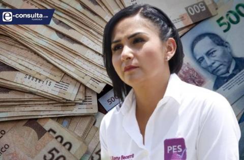 Les amarran las manos a los tesoreros para evitar otro fraude como el de Liliana Becerril