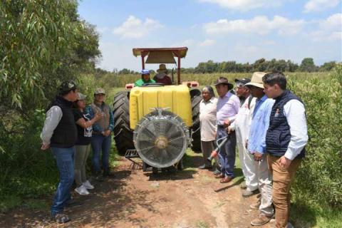 TOA fortalece el campo apoyando a fumigar 500 parcelas imagen 2