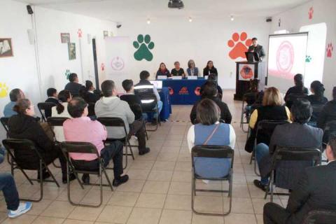 Entregó CEDHT el distintivo “Escuela comprometida con los derechos humanos” al Cejulu imagen 2